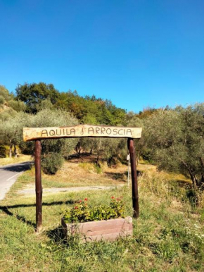 Intera casa nel silenzio degli ulivi